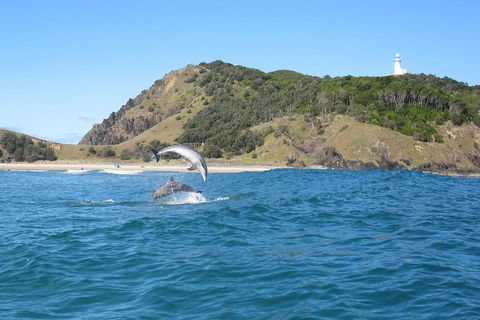 Kayaking With Dolphins In Byron Bay Guided Tour - New South Wales Tourism  8