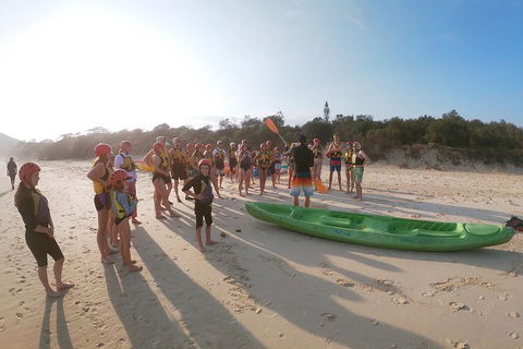 Kayaking With Dolphins In Byron Bay Guided Tour - New South Wales Tourism  11
