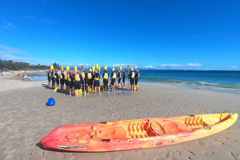 Kayaking With Dolphins In Byron Bay Guided Tour - New South Wales Tourism  3