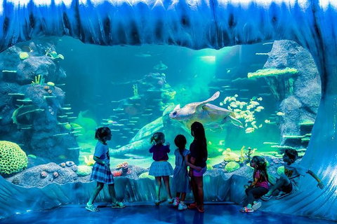SEA LIFE Sydney Aquarium Entrance Ticket - New South Wales Tourism  0