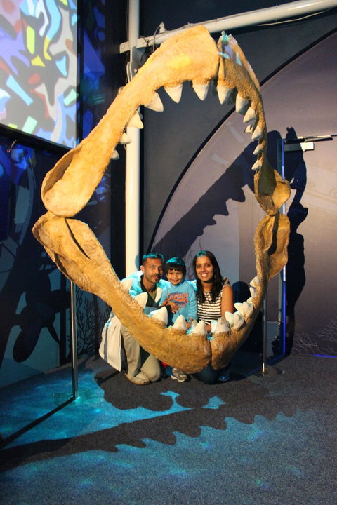 SEA LIFE Sydney Aquarium Entrance Ticket - New South Wales Tourism  6