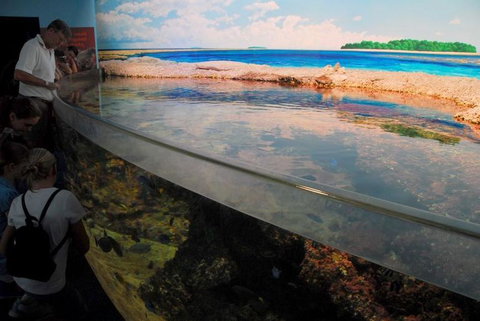SEA LIFE Sydney Aquarium Entrance Ticket - New South Wales Tourism  24
