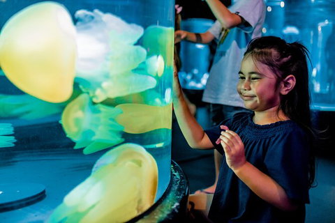 SEA LIFE Sydney Aquarium Entrance Ticket - New South Wales Tourism  26