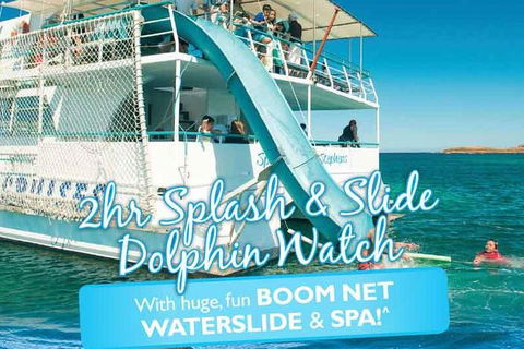 Port Stephens Dolphin Watching Cruise Including Splash And Slide - New South Wales Tourism  0