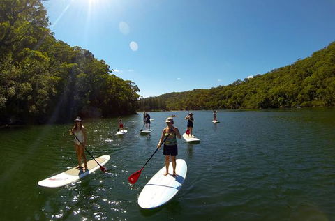 Basin Stand Up Paddle Boarding (SUP) Safari - New South Wales Tourism  0