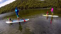 Basin Stand Up Paddle Boarding (SUP) Safari - New South Wales Tourism  1