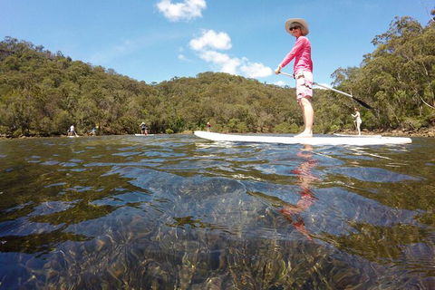 Basin Stand Up Paddle Boarding (SUP) Safari - New South Wales Tourism  3