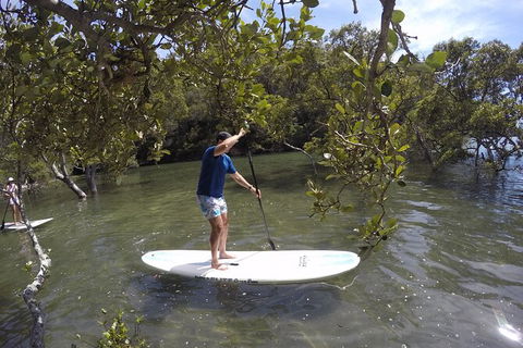 Basin Stand Up Paddle Boarding (SUP) Safari - New South Wales Tourism  2