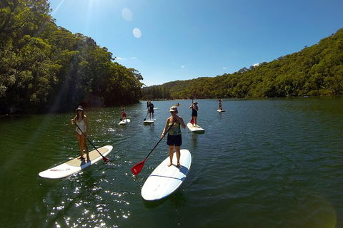 Basin Stand Up Paddle Boarding (SUP) Safari - New South Wales Tourism  4