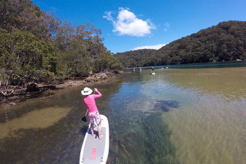 Basin Stand Up Paddle Boarding (SUP) Safari - New South Wales Tourism  5
