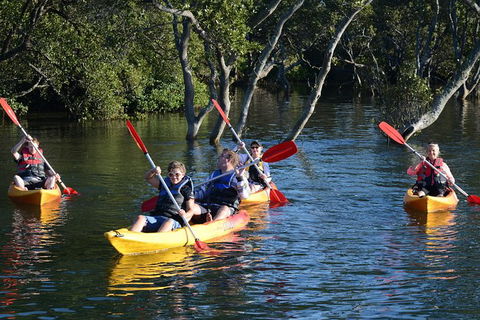 Kayak And SUP Guided Tours - New South Wales Tourism  0
