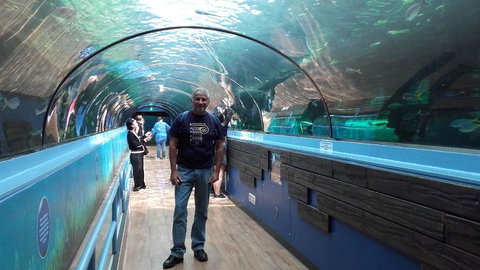 Sydney Pass: SEA LIFE Aquarium, Sydney Tower Eye, WILD LIFE Sydney, Sydney Harbour Cruise, And Madame Tussauds - New South Wales Tourism  5