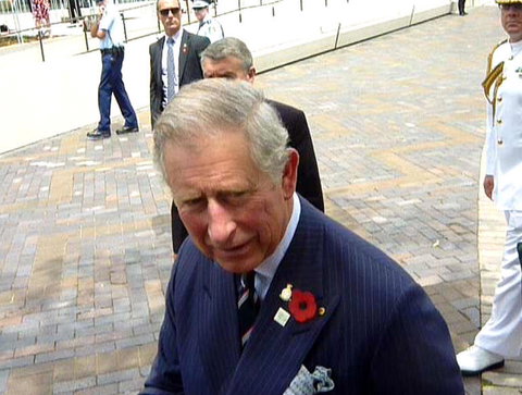 Sydney Pass: SEA LIFE Aquarium, Sydney Tower Eye, WILD LIFE Sydney, Sydney Harbour Cruise, And Madame Tussauds - New South Wales Tourism  22
