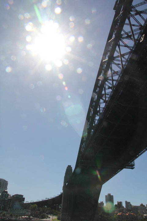 Sydney Pass: SEA LIFE Aquarium, Sydney Tower Eye, WILD LIFE Sydney, Sydney Harbour Cruise, And Madame Tussauds - New South Wales Tourism  20