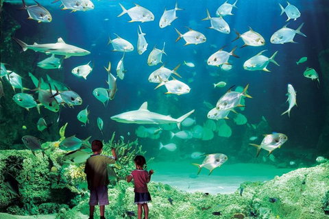 Sydney Pass: SEA LIFE Aquarium, Sydney Tower Eye, WILD LIFE Sydney, Sydney Harbour Cruise, And Madame Tussauds - New South Wales Tourism  0