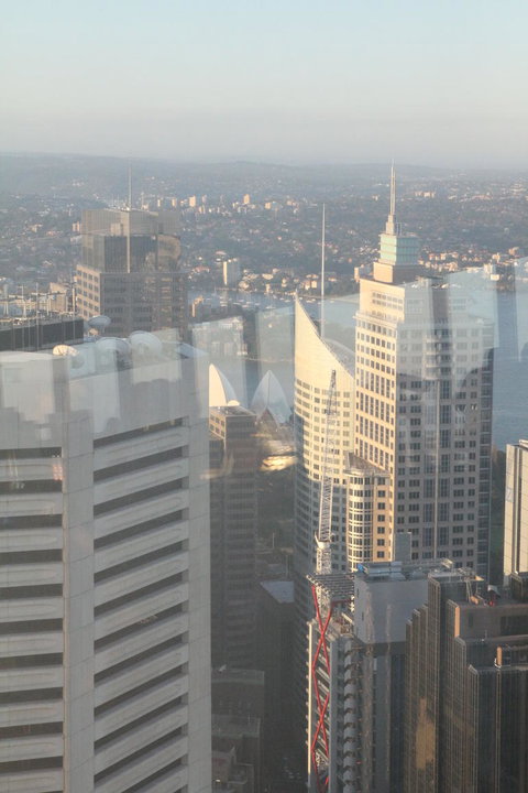 Sydney Pass: SEA LIFE Aquarium, Sydney Tower Eye, WILD LIFE Sydney, Sydney Harbour Cruise, And Madame Tussauds - New South Wales Tourism  18