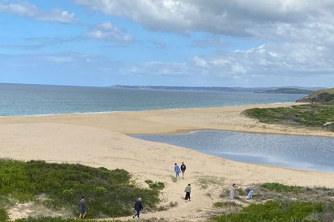 The Eurobodalla Experience (Full Day Private Tour Including Lunch) - New South Wales Tourism  19