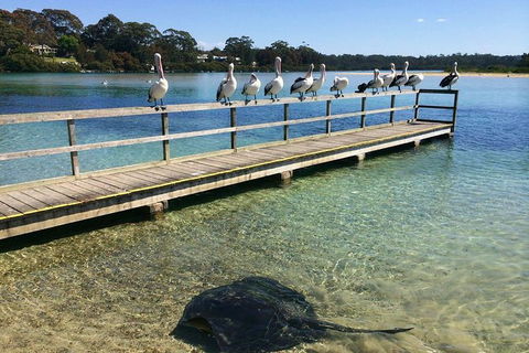 The Eurobodalla Experience (Full Day Private Tour Including Lunch) - New South Wales Tourism  2