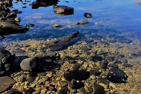 The Eurobodalla Experience (Full Day Private Tour Including Lunch) - New South Wales Tourism  14