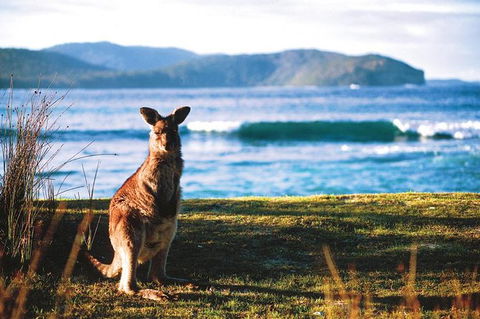 The Eurobodalla Experience (Full Day Private Tour Including Lunch) - New South Wales Tourism  7