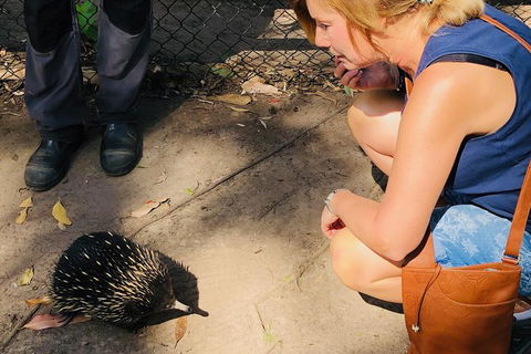 The Eurobodalla Experience (Full Day Private Tour Including Lunch) - New South Wales Tourism  18