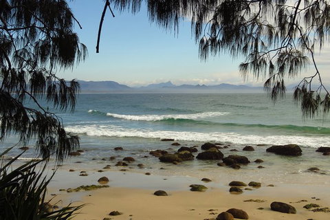 3-Hour Small-Group Byron Bay Tour - New South Wales Tourism  8