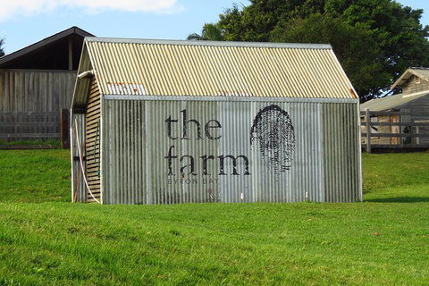 3-Hour Small-Group Byron Bay Tour - New South Wales Tourism  10