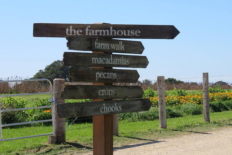 3-Hour Small-Group Byron Bay Tour - New South Wales Tourism  3