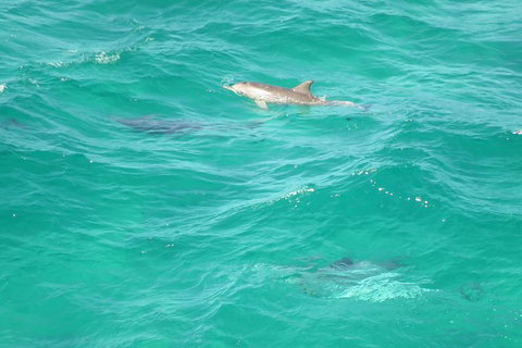 3-Hour Small-Group Byron Bay Tour - New South Wales Tourism  5