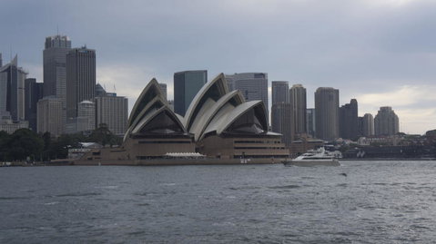 Sydney Whale-Watching Cruise Including Lunch Or Breakfast - New South Wales Tourism  10