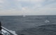 Sydney Whale-Watching Cruise Including Lunch Or Breakfast - thumb 8