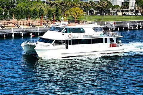 Sydney Whale-Watching Cruise Including Lunch Or Breakfast - New South Wales Tourism  21