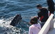 Sydney Whale-Watching Cruise Including Lunch Or Breakfast - thumb 23