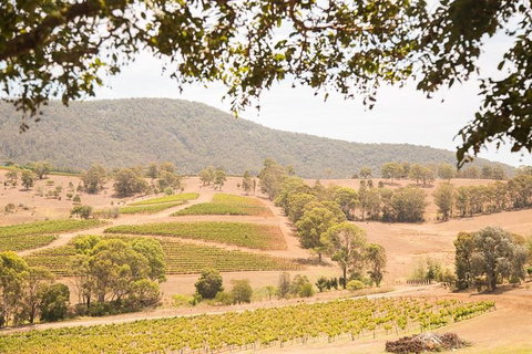 Hunter Valley Wine And Wildlife Reserve Tour From Sydney - New South Wales Tourism  6