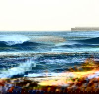 7-Day Byron Bay Evans Head and Moonee Beach Surf Safari from Brisbane Gold Coast or Byron Bay - New South Wales Tourism 
