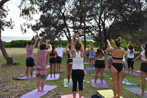 7-Day Byron Bay, Evans Head And Moonee Beach Surf Safari From Brisbane, Gold Coast Or Byron Bay - New South Wales Tourism  3
