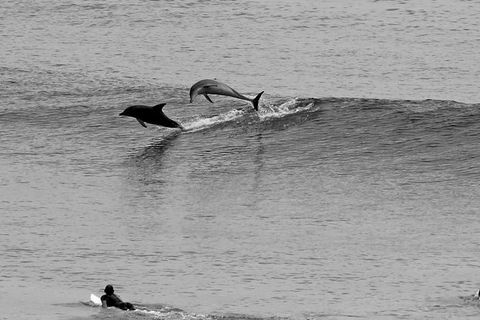 7-Day Byron Bay, Evans Head And Moonee Beach Surf Safari From Brisbane, Gold Coast Or Byron Bay - New South Wales Tourism  6