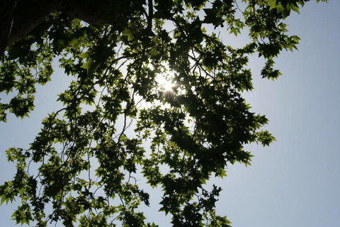 Sydney Photography Tour In The Historic Rocks Area - New South Wales Tourism  4