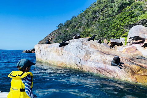 Best Of The Hawkesbury - 3 Day River Adventure - New South Wales Tourism  12