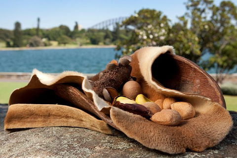 Aboriginal Heritage Tour At The Royal Botanic Garden Sydney - New South Wales Tourism  7