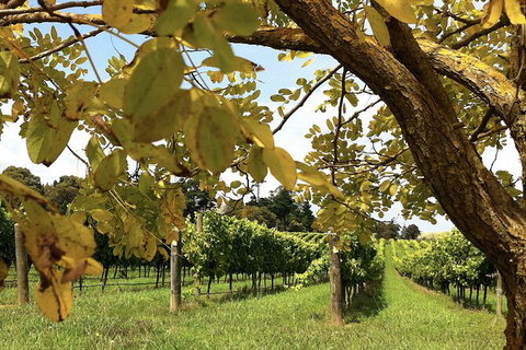 Private Southern Highlands Day Trip From Sydney Including Fitzroy Falls - New South Wales Tourism  2