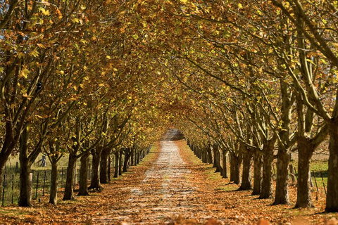 Private Southern Highlands Day Trip From Sydney Including Fitzroy Falls - New South Wales Tourism  4