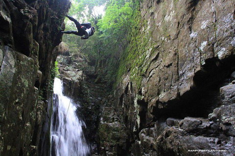Full Day Sub-Tropical Rainforest Canyoning Adventure From Sydney - New South Wales Tourism  1