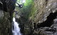 Full Day Sub-Tropical Rainforest Canyoning Adventure From Sydney - thumb 7