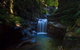 Full Day Sub-Tropical Rainforest Canyoning Adventure From Sydney - thumb 8