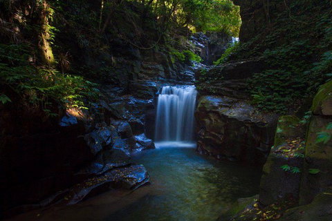 Full Day Sub-Tropical Rainforest Canyoning Adventure From Sydney - New South Wales Tourism  8