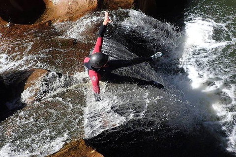 Full Day Sub-Tropical Rainforest Canyoning Adventure From Sydney - New South Wales Tourism  5
