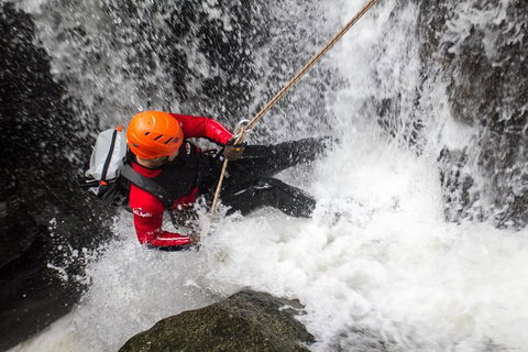 Full Day Sub-Tropical Rainforest Canyoning Adventure From Sydney - New South Wales Tourism  2