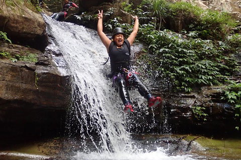Full Day Sub-Tropical Rainforest Canyoning Adventure From Sydney - New South Wales Tourism  3