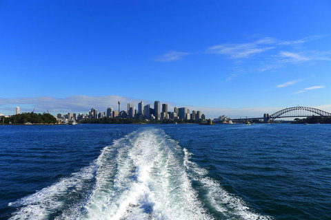 Sydney Whale-Watching Cruise - New South Wales Tourism  4